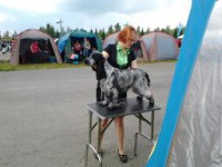 /album/ilpo/iski-093-jpg/